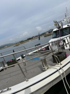 シーマン（京丹後市網野町浅茂川漁港）　イカメタル　2024年6月26日（水）