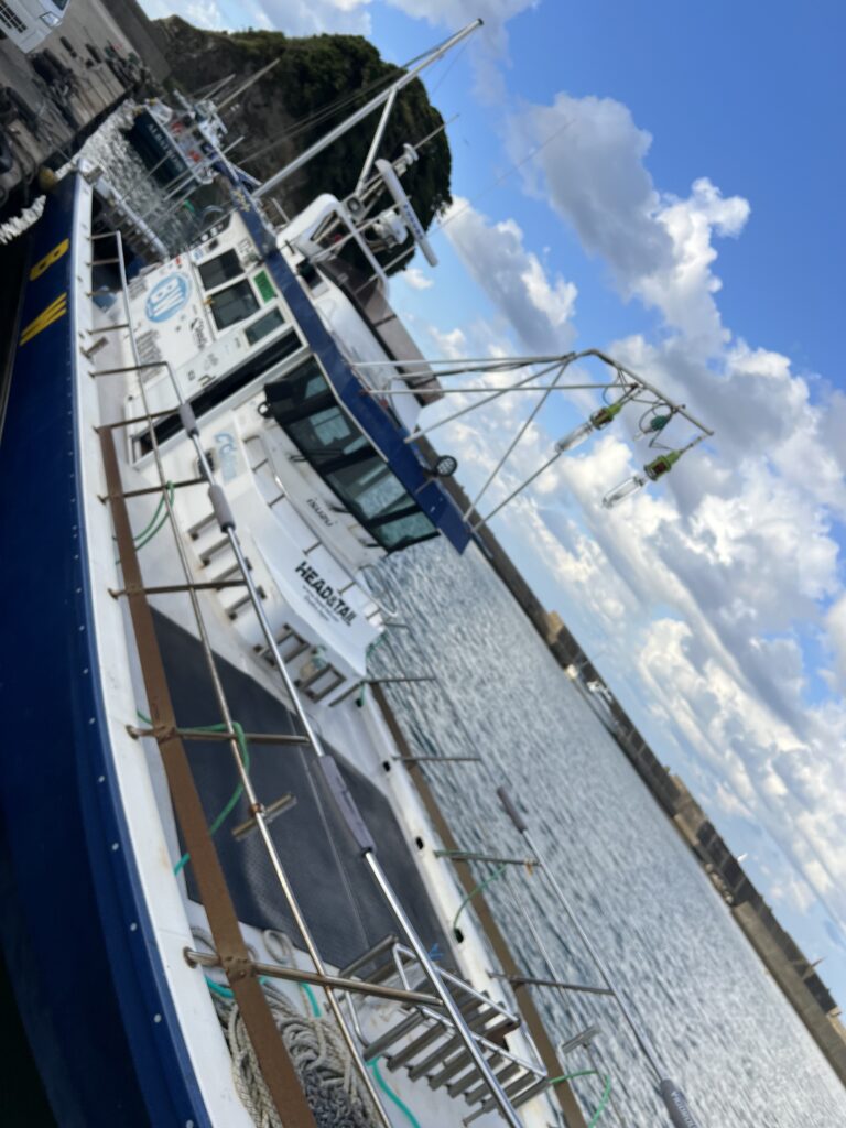 ブルーウォーター（京都府京丹後市網野）ティップラン　2024年10月10日（木）