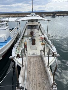 阪本丸（明石市江井ヶ島漁港）　カサゴ（ガシラ）胴付き　2025年3月7日（金）小潮