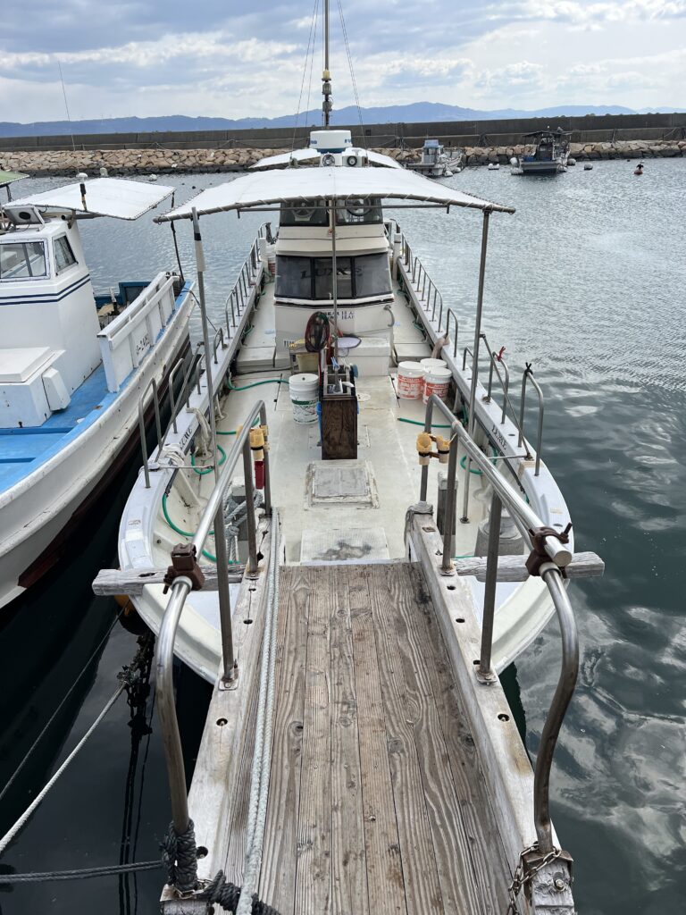 阪本丸（明石市江井ヶ島漁港）　カサゴ（ガシラ）胴付き　2025年3月7日（金）小潮